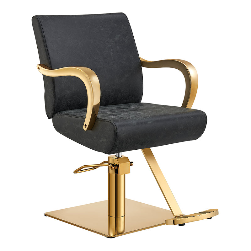 Meteor Gold Salon Styling Chair Vintage Black DIR