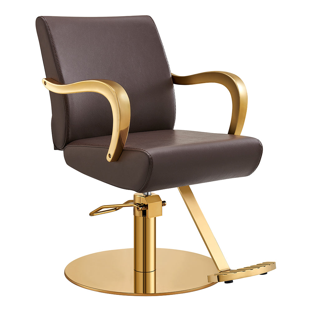 Meteor Gold Salon Styling Chair Brown DIR