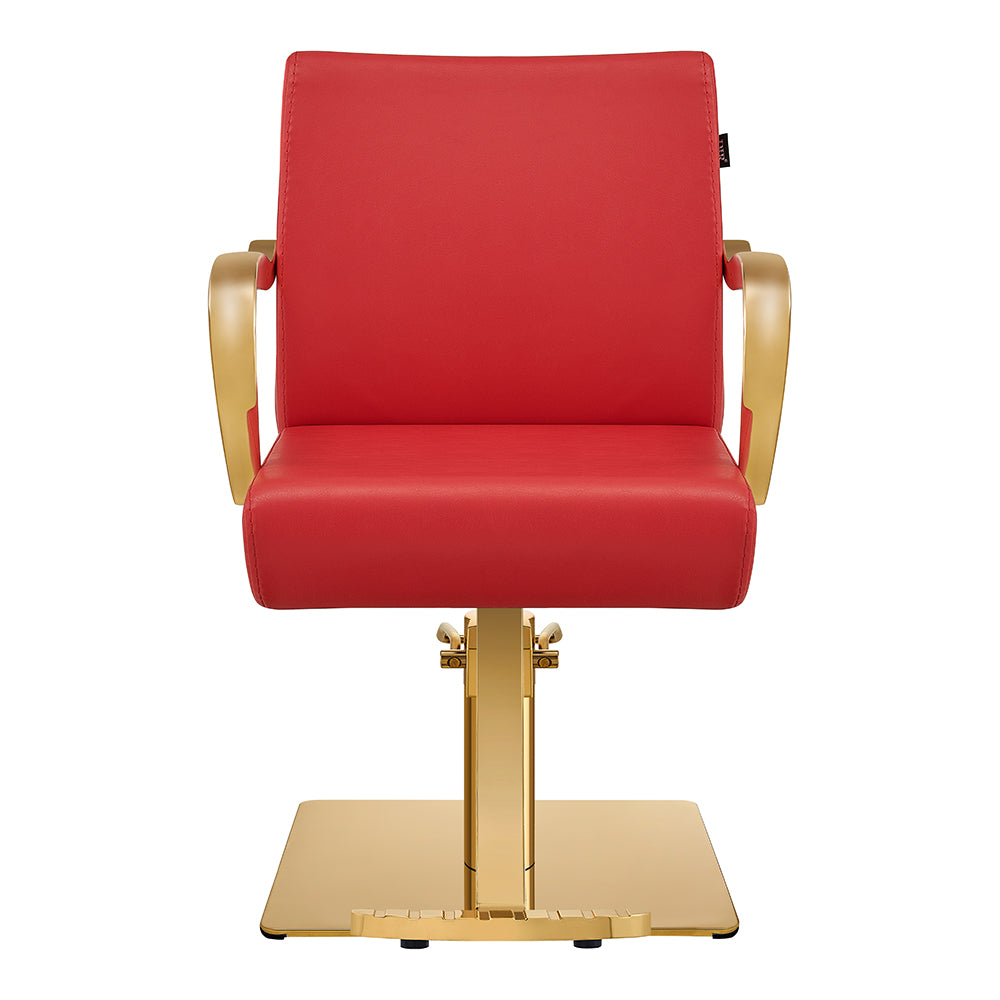 Meteor Gold Salon Styling Chair Red DIR
