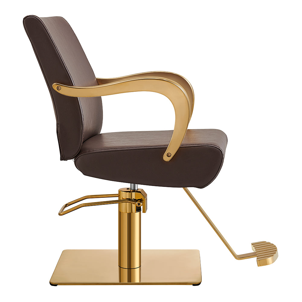 Meteor Gold Salon Styling Chair Brown DIR