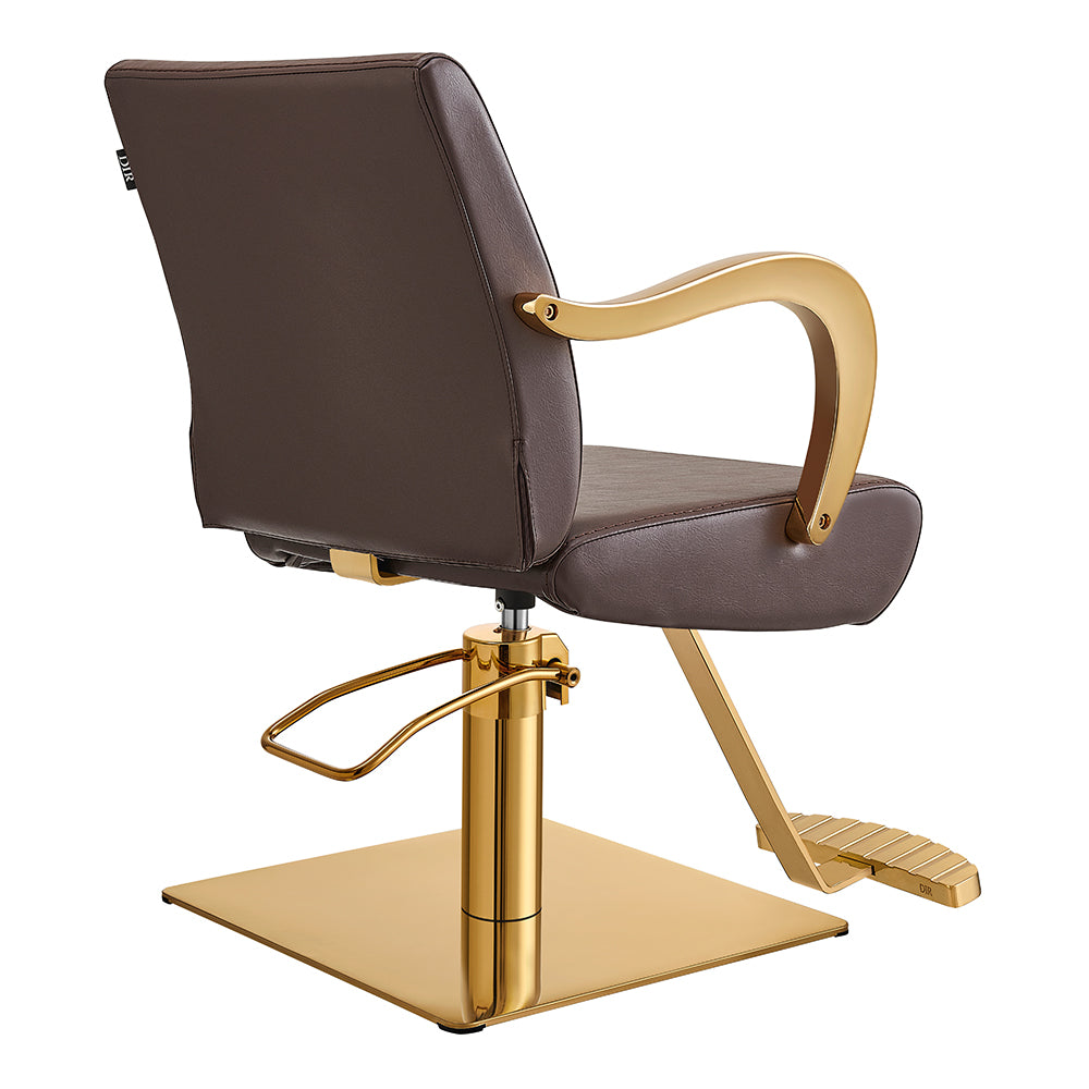 Meteor Gold Salon Styling Chair Brown DIR