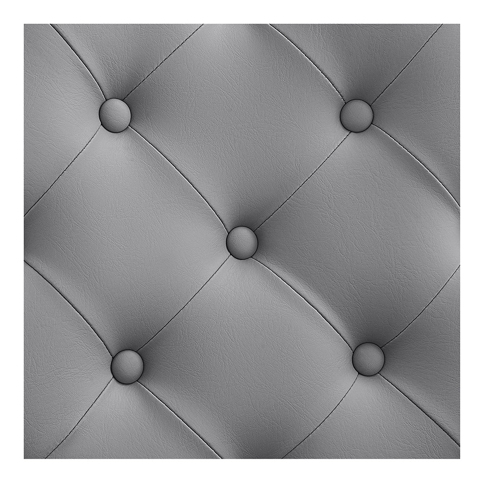 Princeton II Gold Barber Chair - Gray DIR