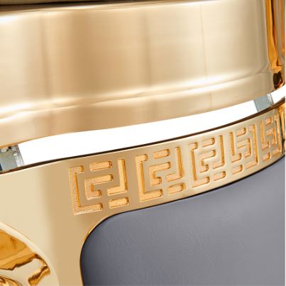 Princeton Gold Barber Chair - Gray DIR