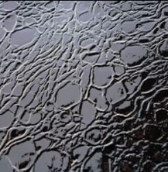 CICERO Barber Chair AGS Beauty