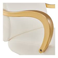 Meteor Gold Salon Styling Chair White DIR