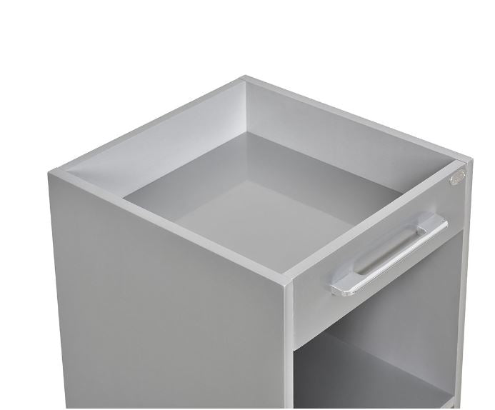 Shampoo Cart Silver DIR