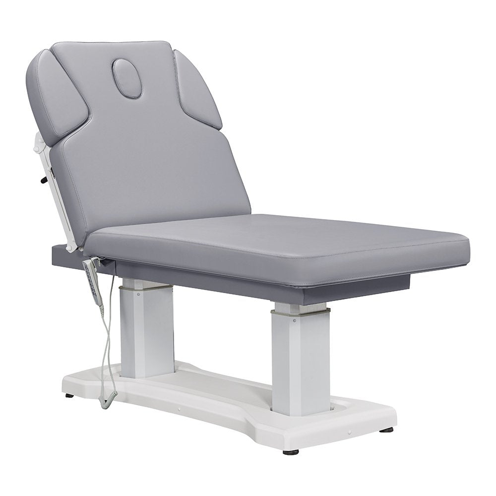 Tranquility 4 Motors Electric Medical Spa Treatment Table Gray DIR