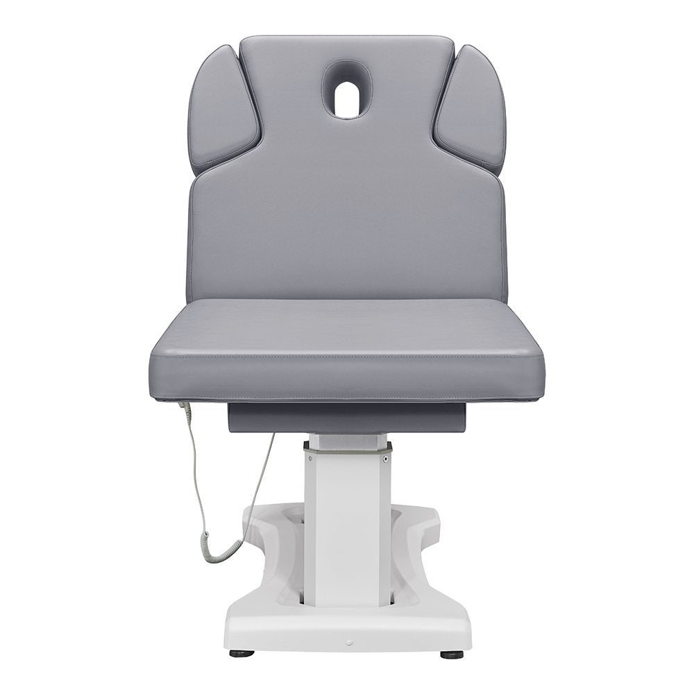 Tranquility 4 Motors Electric Medical Spa Treatment Table Gray DIR