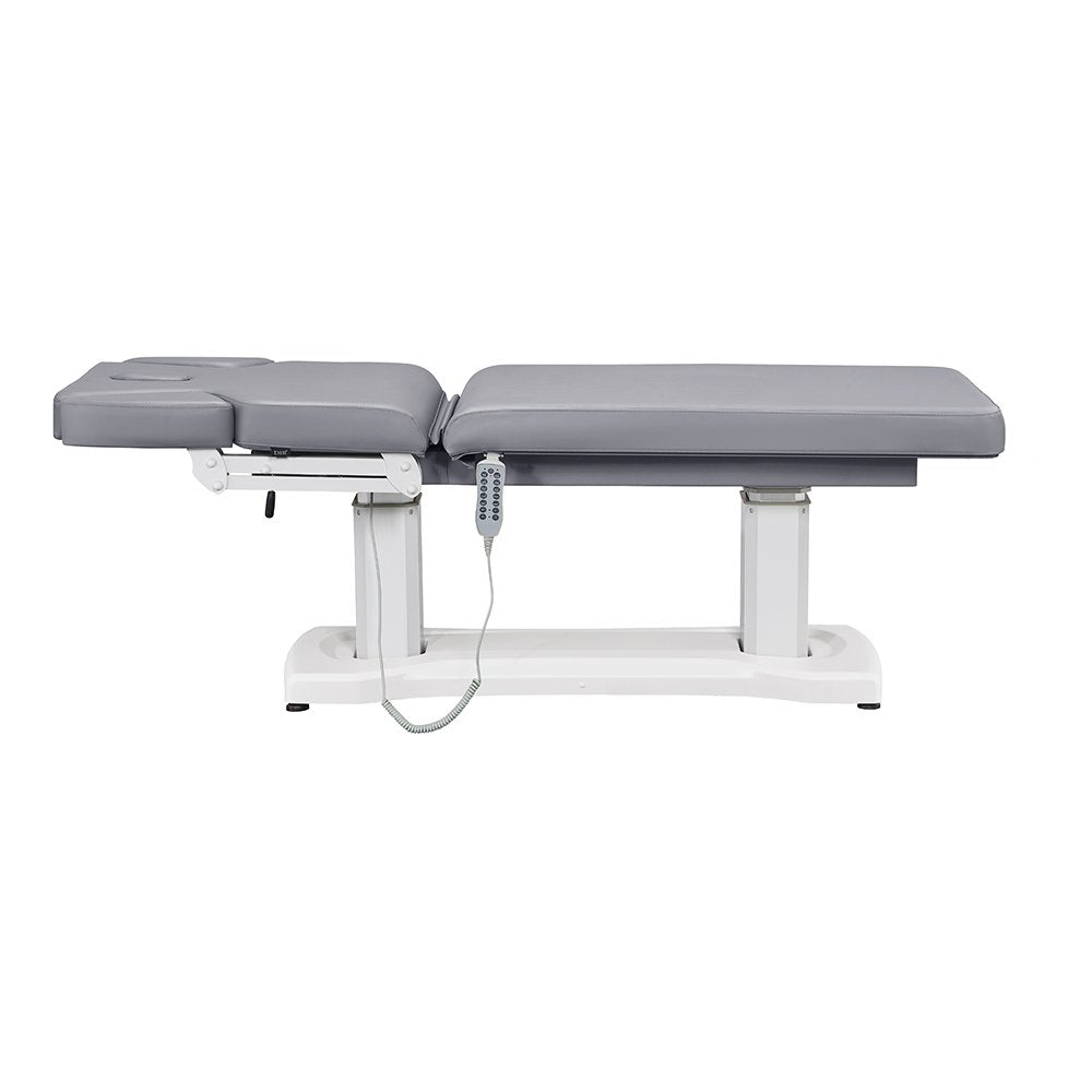Tranquility 4 Motors Electric Medical Spa Treatment Table Gray DIR