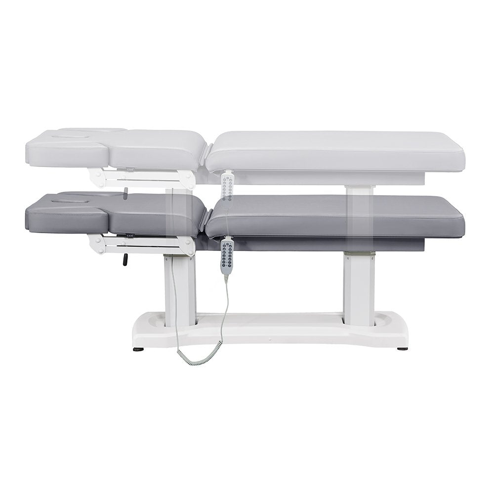 Tranquility 4 Motors Electric Medical Spa Treatment Table Gray DIR