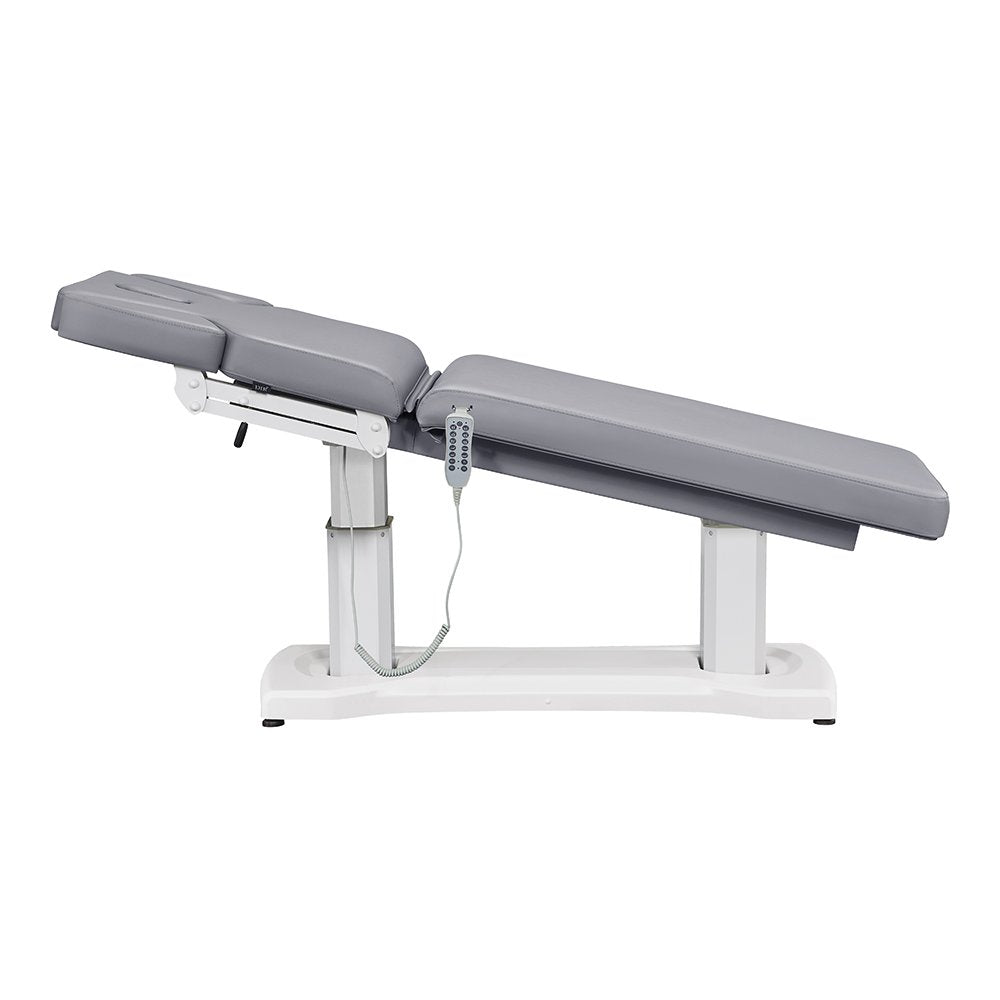 Tranquility 4 Motors Electric Medical Spa Treatment Table Gray DIR