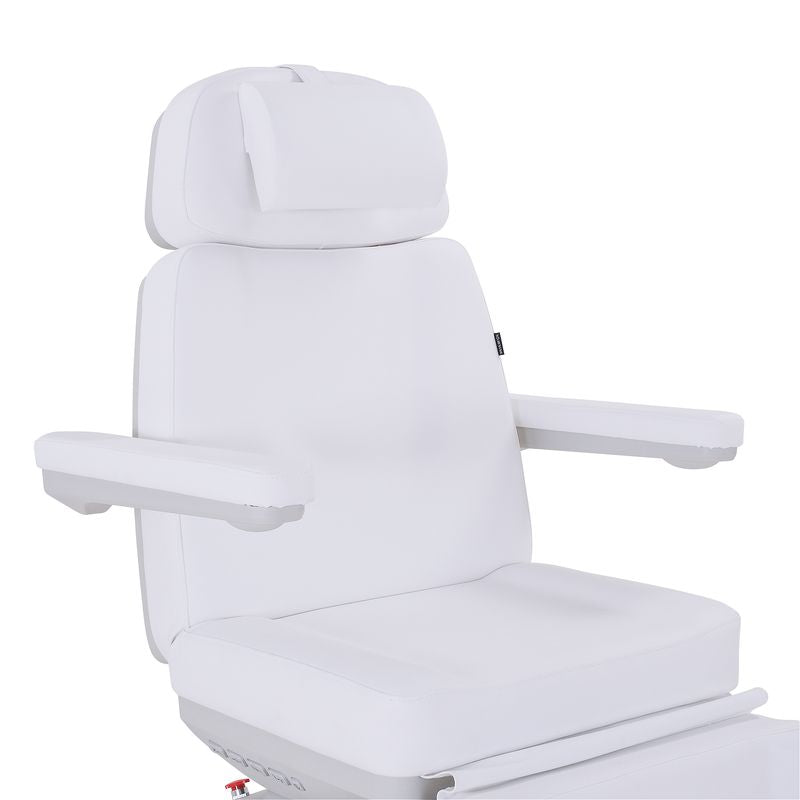 Silverfox America 2246BN Electric Massage Chair