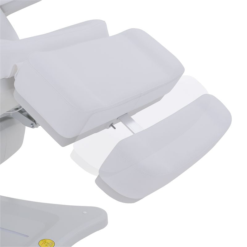 Silverfox America 2246BN Electric Massage Chair