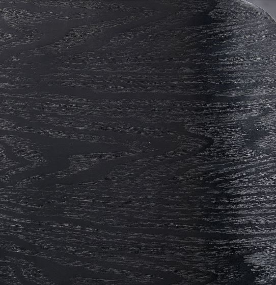 Planet All Purpose Black Chair