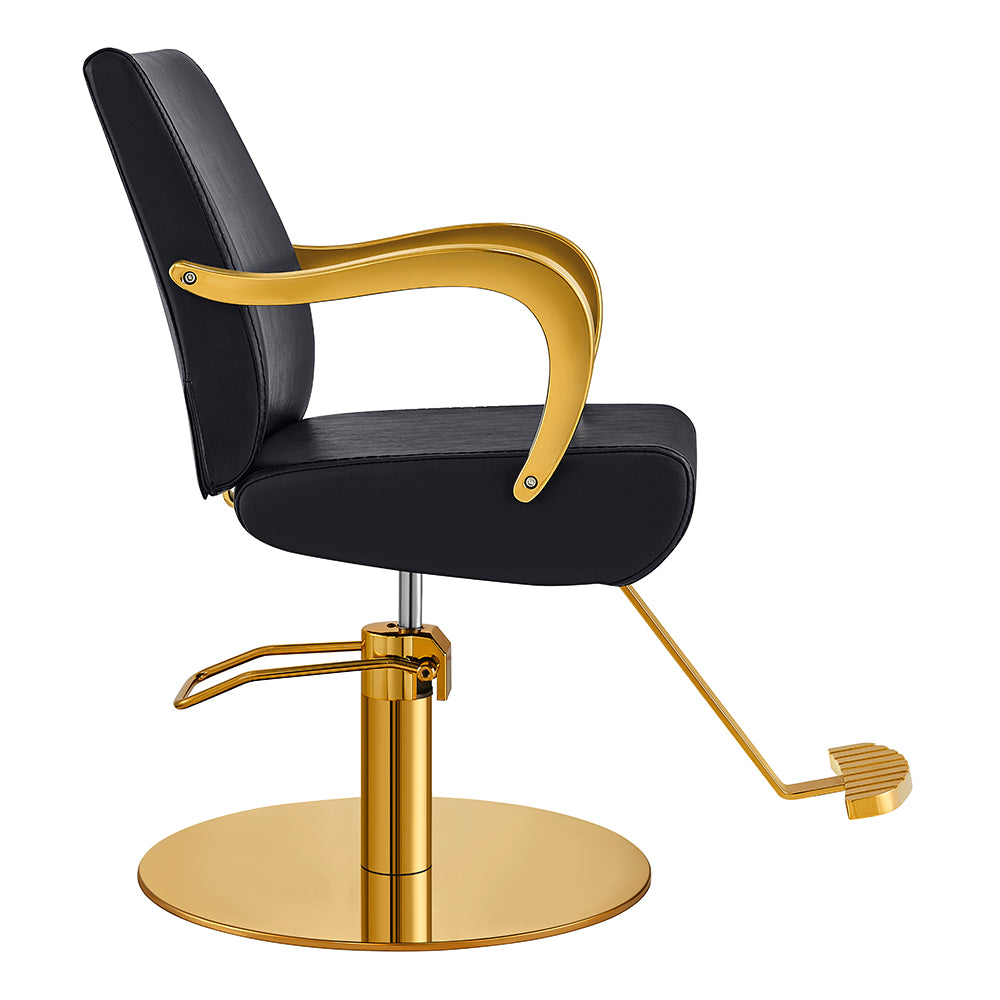 Meteor Gold Salon Styling Chair Black DIR
