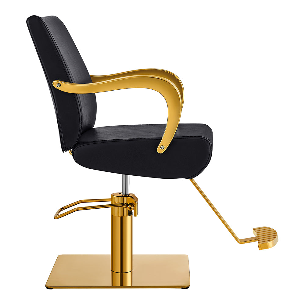 Meteor Gold Salon Styling Chair Black DIR