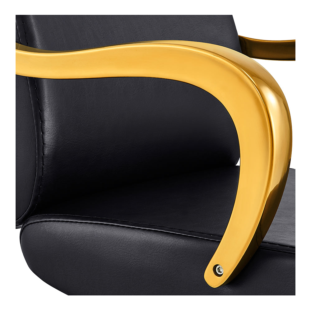 Meteor Gold Salon Styling Chair Black DIR