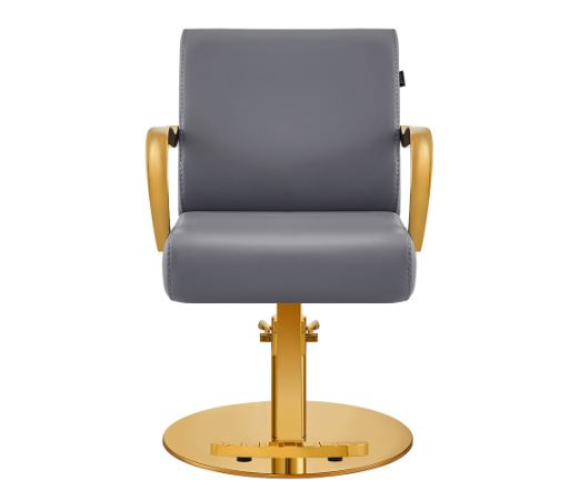 Meteor Gold Salon Styling Chair Gray DIR