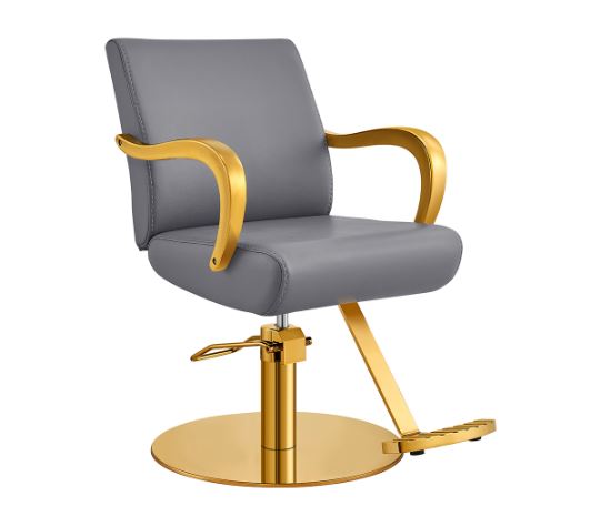 Meteor Gold Salon Styling Chair Gray DIR