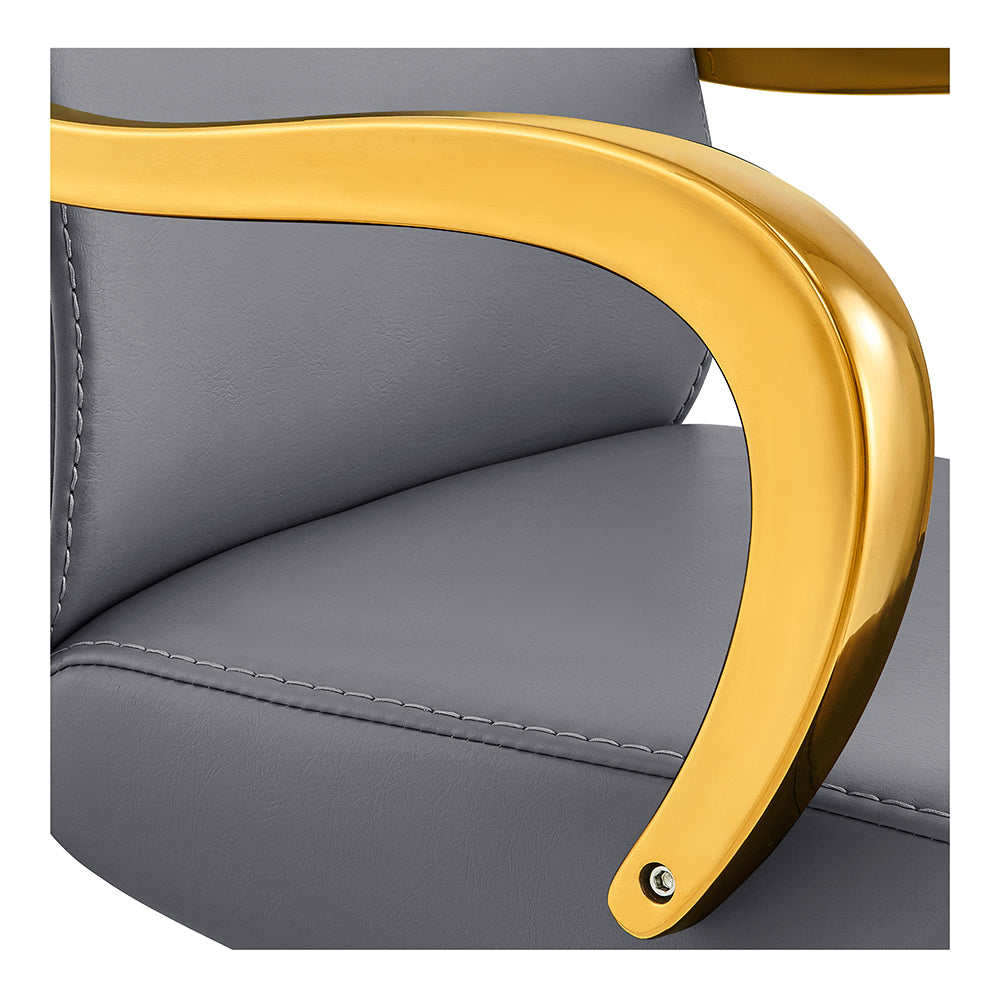Meteor Gold Salon Styling Chair Gray DIR