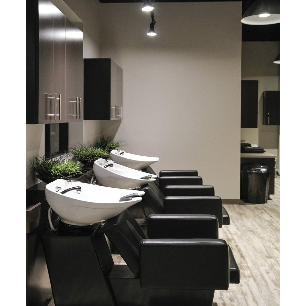 Cosmo Backwash Unit 5234 Pibbs - Backwashes