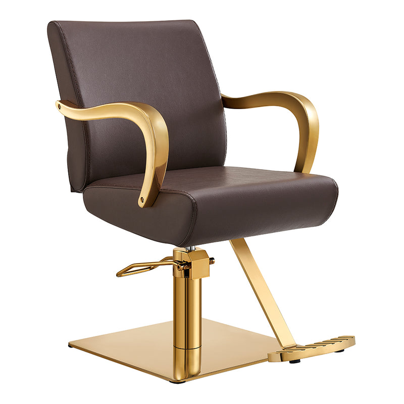 Meteor Gold Salon Styling Chair Brown DIR