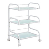 Damien Medical Spa Trolley Cart DIR