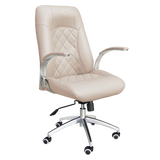 Customer Chair Diamond 3209 in Khaki Whale Spa