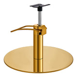 Salon Chair Hydraulic Pump and Round Base Set - Gold DIR