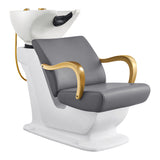 Beckman Gold Salon Shampoo Unit with Adjustable Seat Gray DIR