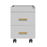 Cannes Manicure Pedicure Trolley Cart Gray DIR