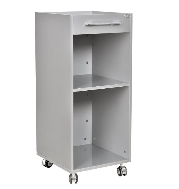 Shampoo Cart Silver DIR
