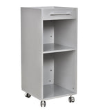 Shampoo Cart Silver DIR