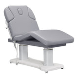 Tranquility 4 Motors Electric Medical Spa Treatment Table Gray DIR