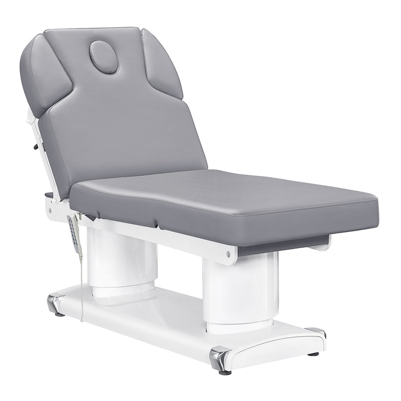 Luxi 4 Motors Medical Spa Treatment Table Gray DIR