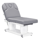 Luxi 4 Motors Medical Spa Treatment Table Gray DIR