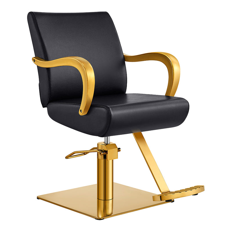 Black Meteor Gold Salon Styling Chair