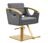 Bello Gold Classic Salon Chair Gray DIR