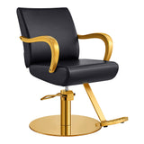 Meteor Gold Salon Styling Chair Black DIR