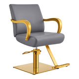 Meteor Gold Salon Styling Chair Gray DIR
