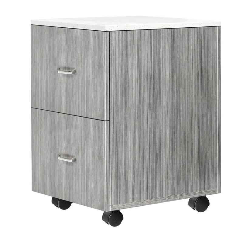 Whale Spa Accessory Cart TR04 in Grey, two drawers, metal handles, wheels, on white background.